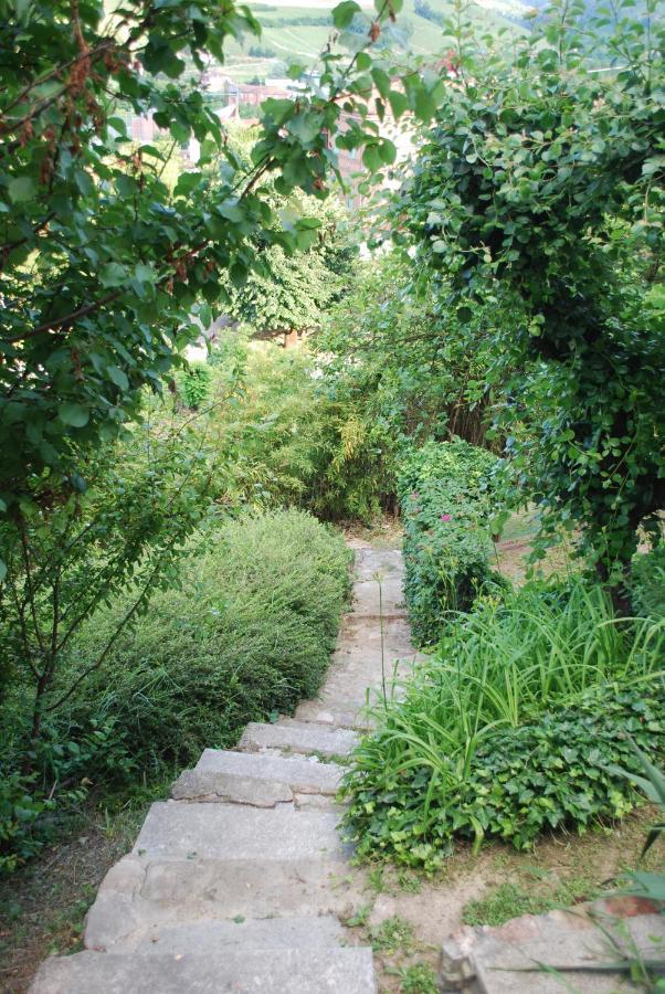 B&B Casa Margot Neive Zewnętrze zdjęcie